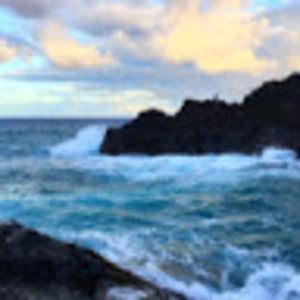 Meet your Posher, Noah